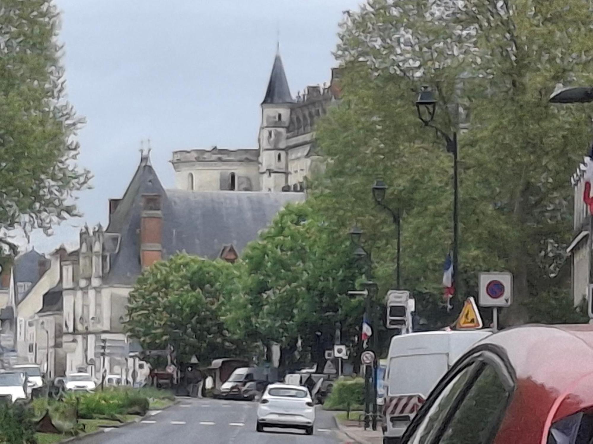 Escale Au Pied Du Chateau Amboise Exteriör bild