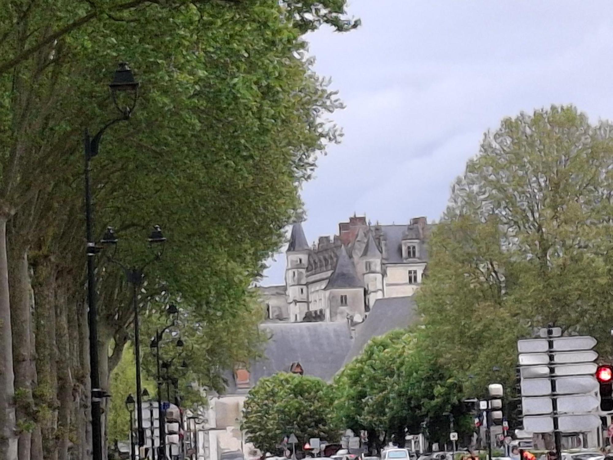 Escale Au Pied Du Chateau Amboise Exteriör bild